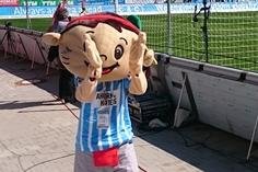 Neues CFC-Maskottchen am Spielfeldrand - Maskottchen Yoki beim Heimspiel gegen Osnabrück.