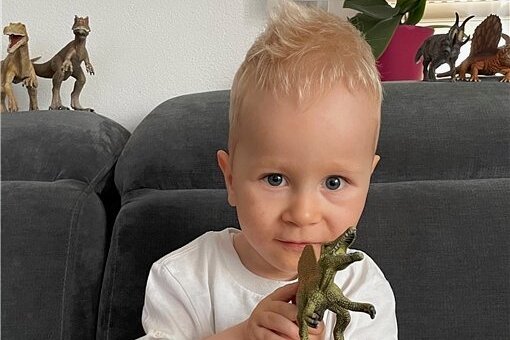 Neues Screening auf Gendefekte - Schau mal, ein Dino. Der zweieinhalbjährige John aus Sebnitz kann heute selbstständig sitzen und mit der Plastikfigur spielen. 