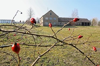 Neues Wohngebiet am Lustgarten in Waldenburg: Investor ändert Pläne - Auf dem Gelände, wo sich früher eine Gärtnerei befunden hat, soll ein Wohngebiet entstehen. Zuvor macht sich eine Änderung des Bebaungsplans erforderlich.