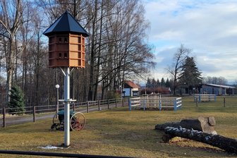 Neues Zuhause für Brieftauben im Tierpark Hirschfeld - Gegenüber der „Bärenschenke“ ist mit dem Taubenschlag ein neuer Hingucker entstanden.