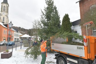 Neuhausen: Vorbereitungen für den Weihnachtsmarkt - Am ehemaligen Bahnhof Neuhausen bereiten die Gemeindemitarbeiter mit Bernd Göhler an der Spitze den Weihnachtsmarkt vor. Die über acht Meter hohe Fichte hat das Fuhrunternehmen Eichelmann gesponsert.