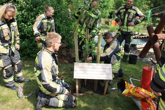 Neukirchen/Pleiße: Feuerwehrleute pflanzen drei Bäume - Einschlagen der Pflanzstützen und fixieren der Stiftungstafel durch die Feuerwehrleute.