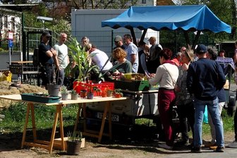 Neukirchen/Pleiße: Pflanzen wechseln bei Tauschmarkt die Besitzer - Die Pflanzentauschbörse ist gut angenommen worden.