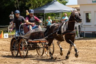 Neukirchener Reitverein gelingt die Generalprobe - Lars Merbitz gewann beim 6. Breitensporttag des RFV Neukirchen mit seinem Wallach Max die Geschicklichkeitsfahrprüfung.