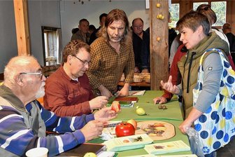 Neun neue Apfelsorten im Vogtland festgestellt - Von Besuchern mitgebrachte Äpfel wurden während der Kernobstmesse auf dem Riedelhof wieder von den Pomologen bestimmt. Im Bild von links Manfred Schrambke, Wolfram Kunze und Rainer Ammel.