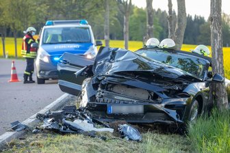 Totalschaden: Der Ford Mustang GT konnte erst durch einen zweiten Baum gestoppt werden.