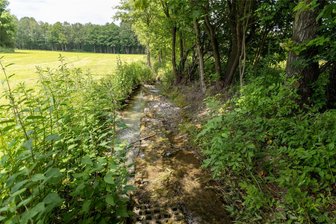 Neustadt saniert die Treba - Die Treba im Neustädter Ortsteil Siebenhitz wird saniert.