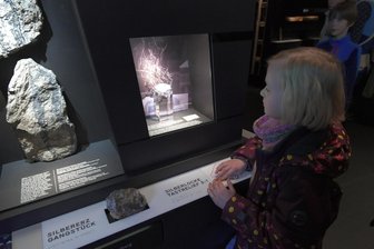 Neustart für das Stadt- und Bergbaumuseum Freiberg: Eine Entdeckungsreise nicht nur für Kinder - Sophie hatte es am Samstag zur Eröffnung des Ergänzungs-Neubaus für das Stadt- und Bergbaumuseum Freiberg die Silberlocke angetan. Der erste Teil der neuen Dauerausstellung im Untergeschoss ist nicht nur für Kinder interessant.