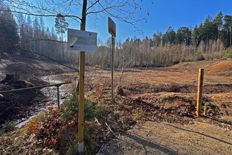 Neustart für den Waldsportplatz in Westsachsen: „Wir sehnen das Ende der Bauarbeiten herbei“ - Der Waldsportplatz wird neu gestaltet. Die Baufirma wartet darauf, dass der Waldboden abtrocknet.
