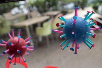 Newsblog Corona: Zahl der Infektionen unter jungen Erwachsenen steigt -