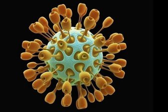 Newsblog: Coronavirus - die aktuelle Entwicklung -