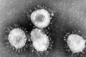 Newsblog Coronavirus - die aktuelle Entwicklung -