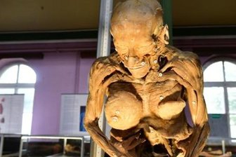 Newsletter: Das war diese Woche los in Mittelsachsen - Ein toter, plastinierter Körper wird in der Ausstellung "Echte Körper - von den Toten lernen" derzeit im Freiberger Schützenhaus gezeigt. Für das Foto hat der Fotograf einen Strahler benutzt. Licht war zur Ausstellungseröffnung in dem Saal nicht angeschaltet. Geöffnet ist die Schau noch bis 6. Oktober.