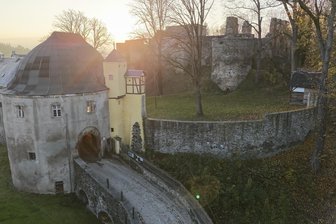 Nicht nur für Gartenfreunde: Pflanzentauschbörse auf der Schlossruine Hartenstein - Auf der Schlossruine Hartenstein findet am Sonntag eine Pflanzentauschbörse statt.