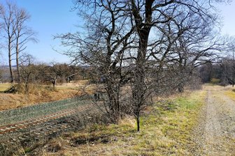 Nicht nur Vögel bekommen ein Problem: Planung für Photovoltaikanlage in Vogtland stößt auf Kritik - 200 Meter neben zweigleisigen Bahnanlagen sind privilegiert für Photovoltaik (Beispielbild).