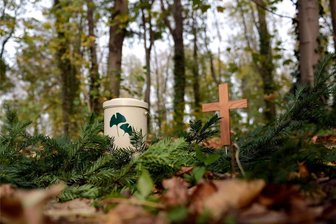 Niederdorf möchte Zufahrt für Friedwald umsetzen - Wie hier in einem Berliner Friedwald soll ein ähnliches Projekt auch in Niederdorf umgesetzt werden.