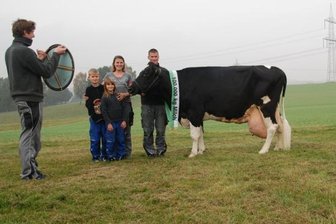 Niederfrohnaer Rekord-Kuh knackt 100.000-Liter-Marke - Familienbild mit Rekord-Kuh: Die Rabes aus Niederfrohna bekommen für ihre zwölfjährige Gerda eine Auszeichnung, weil das Tier bisher bereits mehr als 100.000 Liter Milch gegeben hat - und das nach derzeitigem Gesundheitszustand noch eine Weile tut.