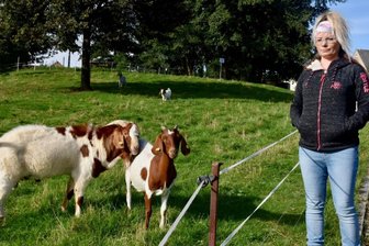 Niederfrohnaerin darf Wiese für ihre Ziegen nicht mehr nutzen - Nicole Wallrath und ihre Ziegen. 