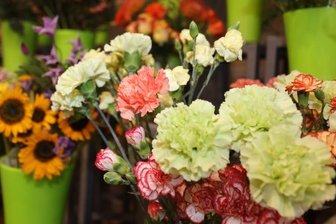 Niedriglöhne - droht Blumenläden in Westsachsen die Personalnot? - Gewerkschaft kritisiert Gehalt unter Mindestlohn-Niveau.