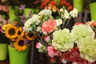 Niedriglöhne - droht Personalnot in Blumenläden? - Gewerkschaft kritisiert Gehalt unter Mindestlohn-Niveau.