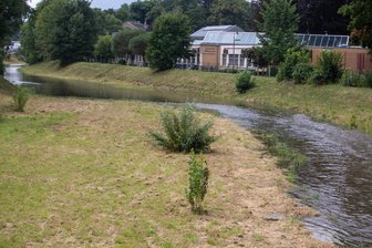 Niedrigwasser an der Weißen Elster in Plauen? Das sagt das Umweltamt dazu - Die Weiße Elster hat kürzlich auf Facebook für Gesprächsstoff gesorgt.