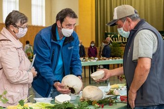 "Nischt wie Schwamme" in der Grünbacher Turnhalle -