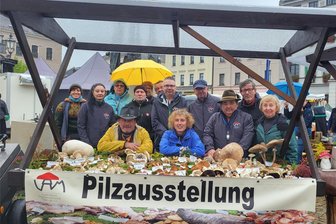 „Nischt wie Schwamme“ - Pilzausstellung in Grünbach - Die Vogtländische Arbeitsgemeinschaft Mykologie gibt ihr Wissen über Pilze und Natur gerne weiter.