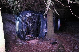Nissan prallt gegen Baum -