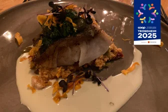 Nordische Ski-WM hautnah: Norwegen ist nicht billig, aber schön und lecker - Kabeljau auf polenta, sehr lecker.