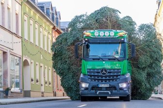 Nordmanntanne verschönert Weihnachtszeit in Ehrenfriedersdorf -