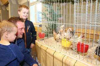 Noten für Langohren und Federvieh - Iwen, sein kleiner Bruder Lewi und Papa Martin Günnel sind von der kleinsten Hühnerrasse der Welt ganz angetan. Bewertet werden die süßen Federtiere aber nicht.
