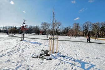 NSU-Dokuzentrum: Erste Vorschläge für Ausrichtung liegen vor - Der Gedenkort im Schwanenteichpark soll in das NSU-Dokuzentrum einbezogen werden, so die Idee. 