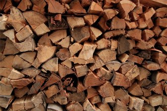 Nur Brennholzernte im Steinberger Kommunalwald - Die Gemeinde Steinberg erntet nächstes Jahr nur Brennholz.