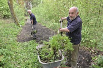 „Nur der Borkenkäfer kann uns stoppen“: Warum in Kirchberg ein Verein einen Park pachten will - Arbeitseinsatz im Saupersdorfer Park: Friedemann Petzold (vorn) und Stephan Poller legen zugewachsene Wege frei.