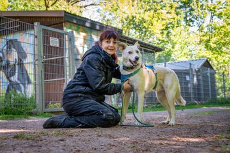 Nur noch die Hälfte an Fördergeld geplant: Mittelsachsens Tierschützer in Sorge - Tierheimleiterin Silke Pfumfel im Tierheim Leisnig mit Hund Dillon, einem „Angsthund“, der von einem anderen Tierschutzverein kam. Ein Jahr lang mussten sie mit ihm arbeiten, damit er Vertrauen fasst und sich eine Leine umlegen lässt.
