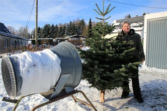 O Tannenbaum, o Tannenbaum: Wo im Vogtland gibt‘s Weihnachtsbäume aus der Region und was kosten sie? - Claudia Feustel mit einer Nordmanntanne vom Charlottenhof an der Netzmaschine.