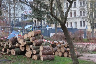 Oase am Breitscheidplatz in Werdau weicht Neubau: Stadträte fordern Klarheit zu Ersatzpflanzungen - Die grüne Oase am Breitscheidplatz in Werdau verschwindet zusehends. Gleich mehrere Feuerwehrleute haben am Wochenende mit der Baufeldfreimachung begonnen. Dabei wurden die ersten Bäume auf dem ehemaligen Spielplatz gefällt.