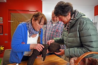 Ob Arm ab oder Stimme verloren - in der Teddypraxis im Webmuseum Oederan werden Bären verarztet - Sprechstunde von Teddymacherin Dorothea Siegel (von links) und Ehemann Kurt im Webmuseum Oederan. Aus Hainichen ist Petra Werl mit ihrem Robin gekommen, die Anamnese beginnt.