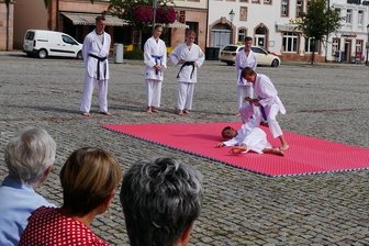 Ob Enkeltrick oder Schockanruf: Sicherheitstag in Rochlitz bietet mehr als gute Ratschläge - Mitglieder des Rochlitzer Sportvereins Karate-Do haben sich am Sicherheitstag mit einer Vorführung ihrer Kampfkunst-Techniken beteiligt.