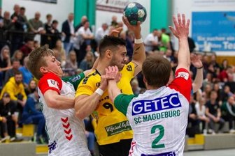 Oberlosa kann Ausfälle nicht kompensieren - Zwei Treffer konnte Jan Skalda (Nummer 9) auf das Oberlosaer Torkonto bringen. Am Ende hatten aber die Gäste aus Magdeburg mit 29:23 die Nase vorn. 
