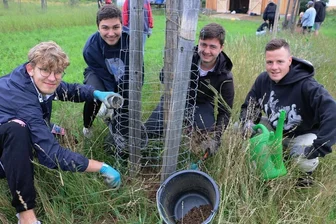Obstbaum-Schädling: Im Einsatz gegen den Großen Rüsselkäfer - Theodor Sachs, Eyrik Gerstenberger, Felix Ranca und Raphael Müller (von links) bringen den Schutz gegen den Großen Rüsselkäfer an einem der Obstbäume auf. 