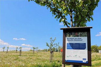 Obstblütenfest in Zschorlau: Geologie und Imkerei - Blick auf die frühlingshafte Streuobstwiese. 