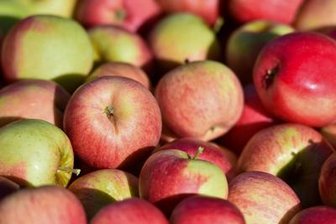 Obstgut setzt auf Direktvermarktung -