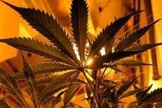 Öffentliche Toilette: Polizei erwischt 17-Jährigen mit Marihuana -