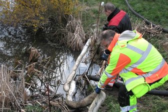 Ölfilm im Teich in Altgeringswalde: Wer ist der Verursacher? - Mitarbeiter eines Fachbetriebes brachten im April Ölsperren am Zu- und Abfluss des Teiches an.