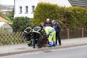 Ölhavarie in Großhartmannsdorf - 