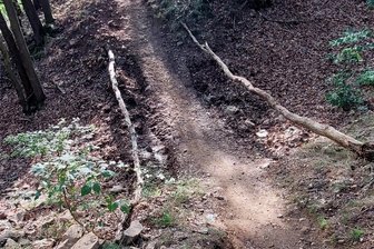 Oelsnitz: Unbekannte richten schwere Schäden an Bodendenkmal an - Die Schachtspuren an der historischen Ringwallanlage Schanze bei Voigtsberg sind deutlich sichtbar.