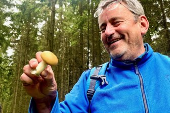 Oft ähneln Speisepilze giftigen Exemplaren: Pilzwanderung im Zellwald bei Großschirma nahe der B 101 - Olaf Beer aus Nossen mit einem Ockertäubling im Zellwald nahe der B 101 bei Großschirma. Der Pilz ist nicht essbar, wenn er scharf schmeckt.