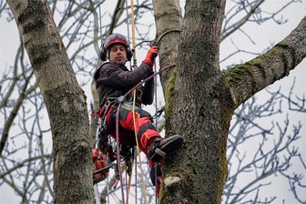 Ohne Höhenangst: Erzgebirger will hoch hinaus - Marcus Benedix aus Crottendorf ist selbstständiger Industriekletterer. In seiner Heimat wird er vor allem für Baumpflegearbeiten gebucht, anderswo geht es aber auch auf und an Bauwerke. Während seiner Arbeit wird der Erzgebirger körperlich voll gefordert.