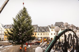 Ohne Missgeschick und Pannen: Weihnachtsbaum steht auf dem Schwarzenberger Markt - Montagvormittag schwebte der Baum für den Marktplatz am Kran ein.